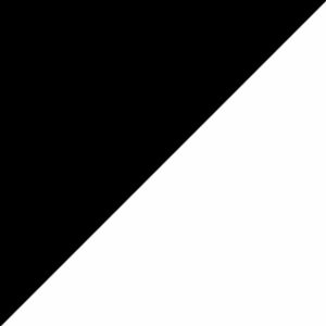 Black/White/Violetstorm