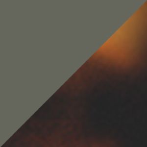 Tortoise/Gray