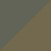Seagrass