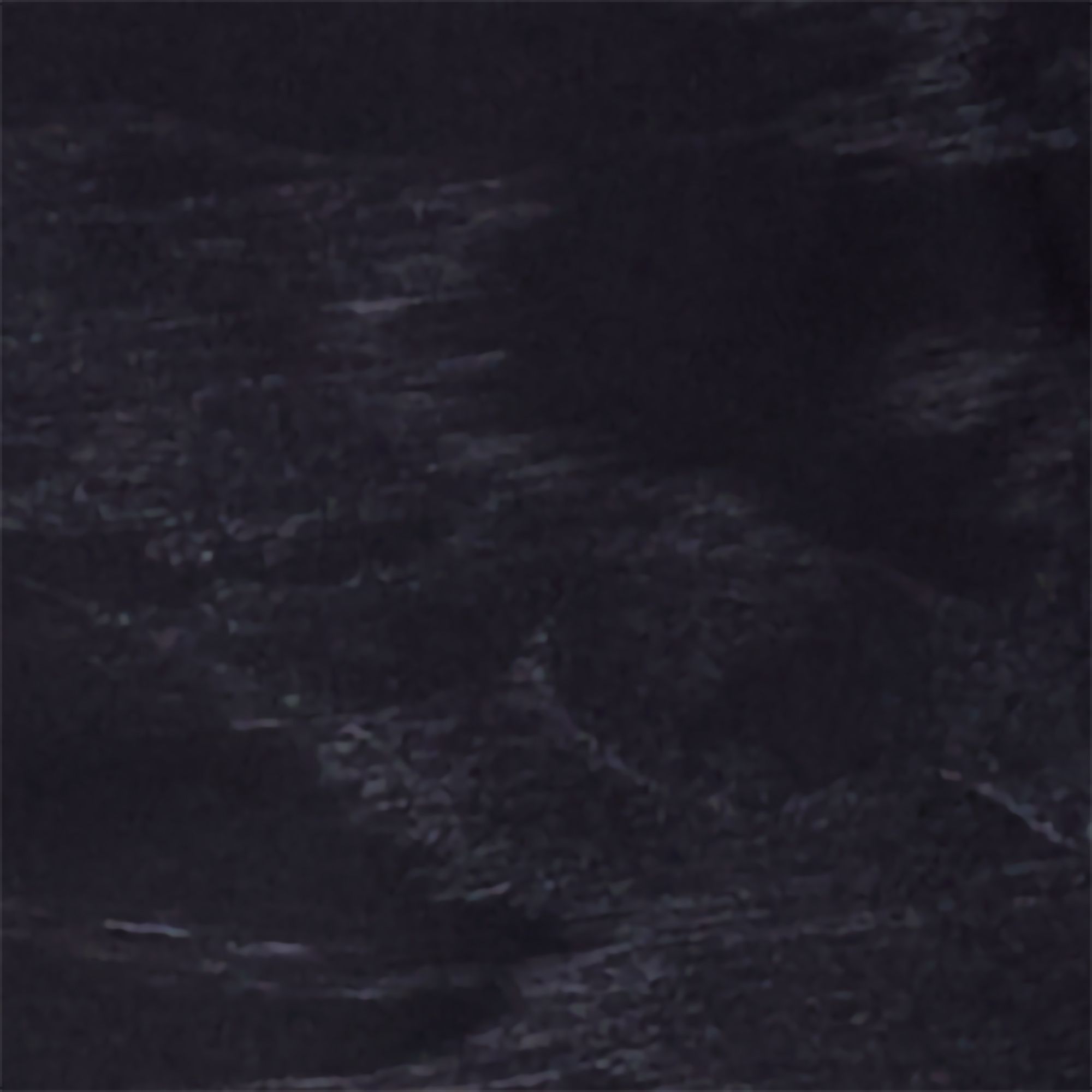 Black Beachwood