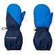 Bright Indigo/Coll Navy