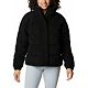 Black Doodle Sherpa