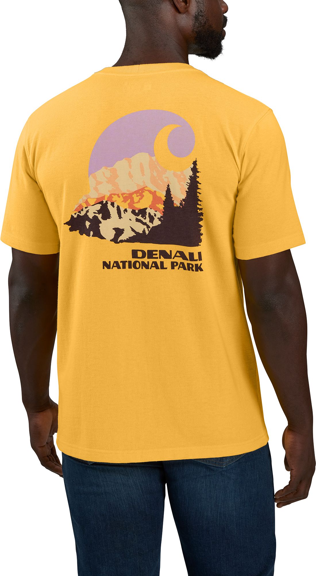 Carhartt Mens Relaxed Fit Heavyweight Denali National Park K87 Graphic T Shirt