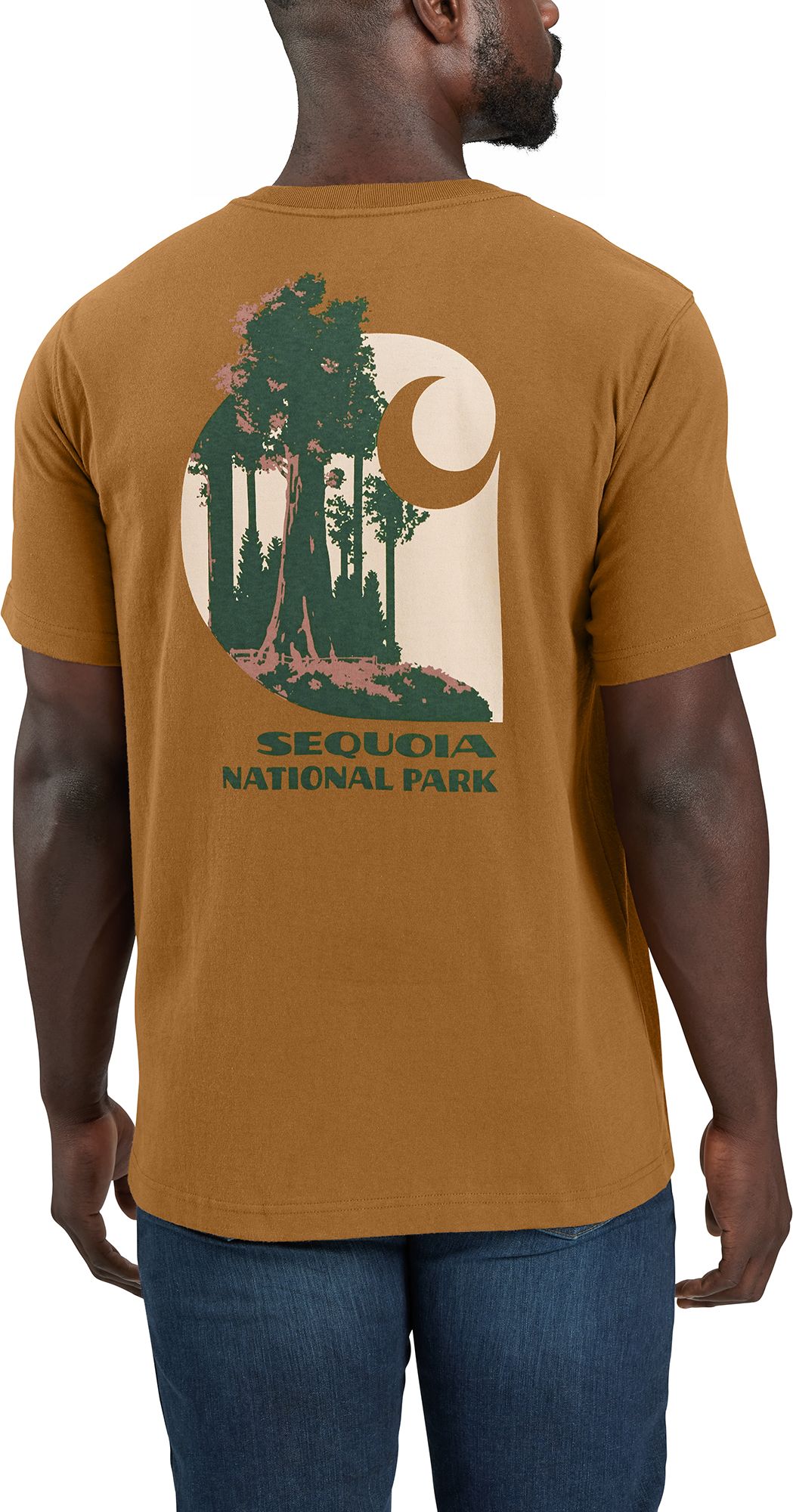 Carhartt Mens Relaxed Fit Heavyweight Sequoia National Park K87 Graphic T Shirt