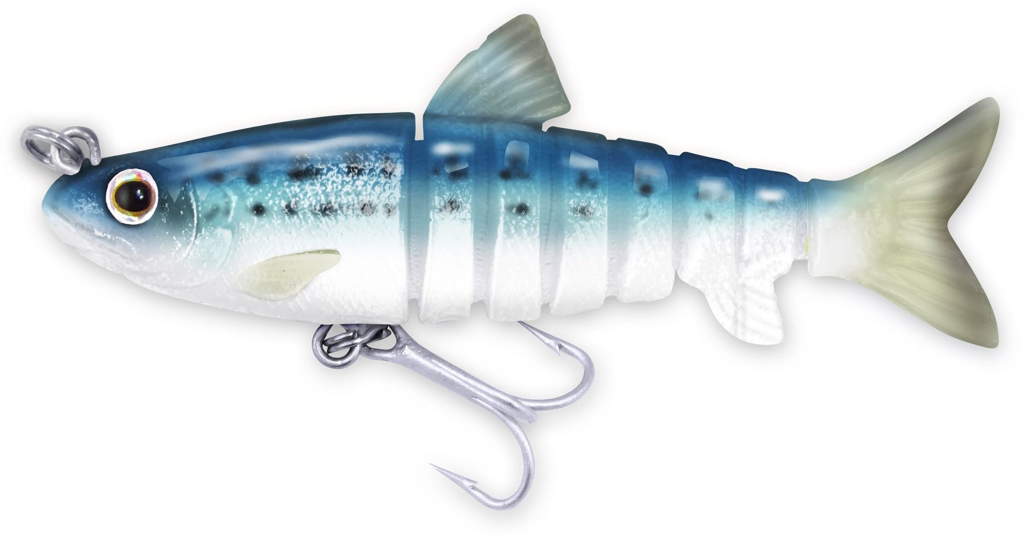 Blue Back Herring