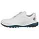 White/Petrol