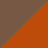 Gloss Tortoise