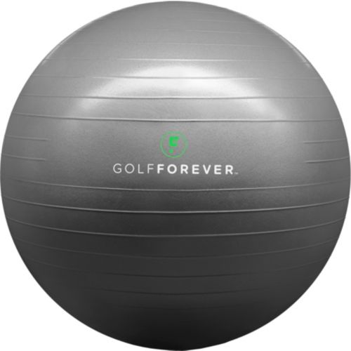 Fitness Gear Weighted Stability Ball | Dick's Sporting Goods