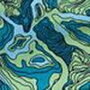 Gulf/Kelp