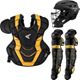 Black/Gold
