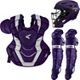 Purple/Silver