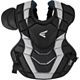 Black/Silver