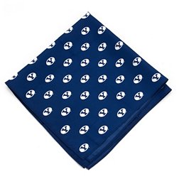 Eagles Wings BYU Cougars Kerchief/Pocket Square