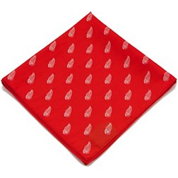 Eagles Wings Detroit Red Wings Kerchief/Pocket Square
