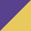 Minnesota Vikings