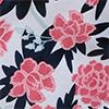 Peonies/Pars