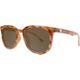 Glossy Blonde Tortoise Shell/Amber