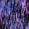 Black Multi