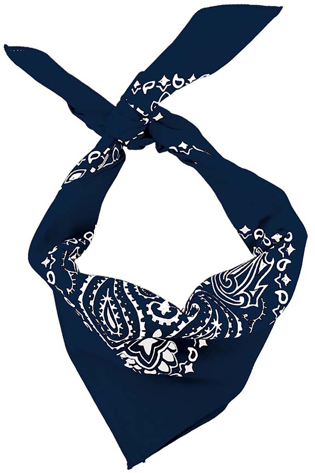 Hav-A-Hank Paisley Bandanna