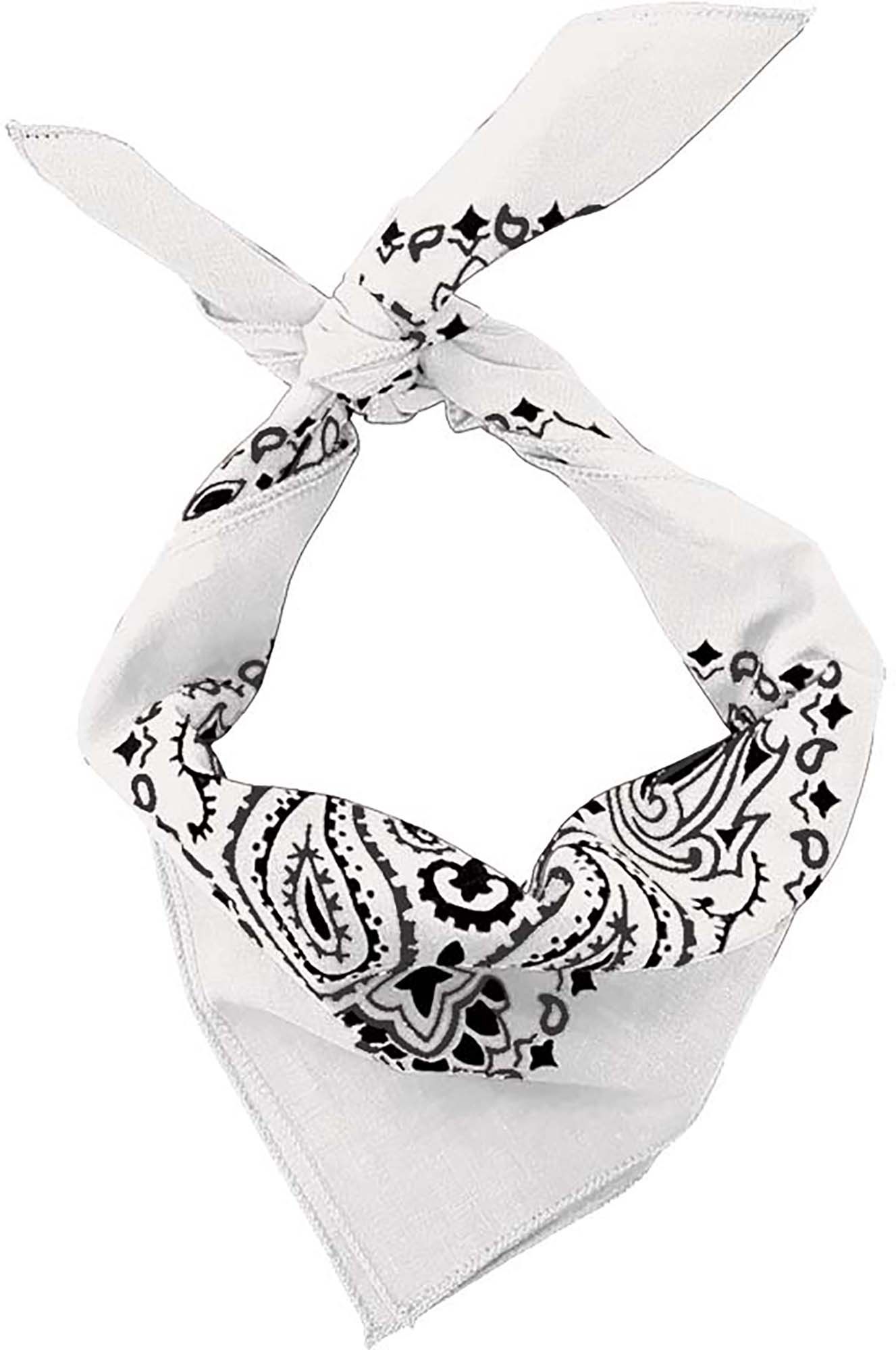 Hav-A-Hank Paisley Bandanna