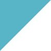 Teal/White