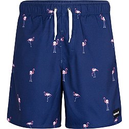 Hurley Boys' Flamingo Pool Party Pull-On Swimsuit