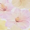Aloha Hibiscus