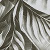 Charcoal Fern