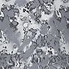 Volcanic Ash