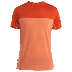 Icebreaker Men's Men's 125 Cool-Lite™ Merino Blend Sphere III Color Block T-Shirt