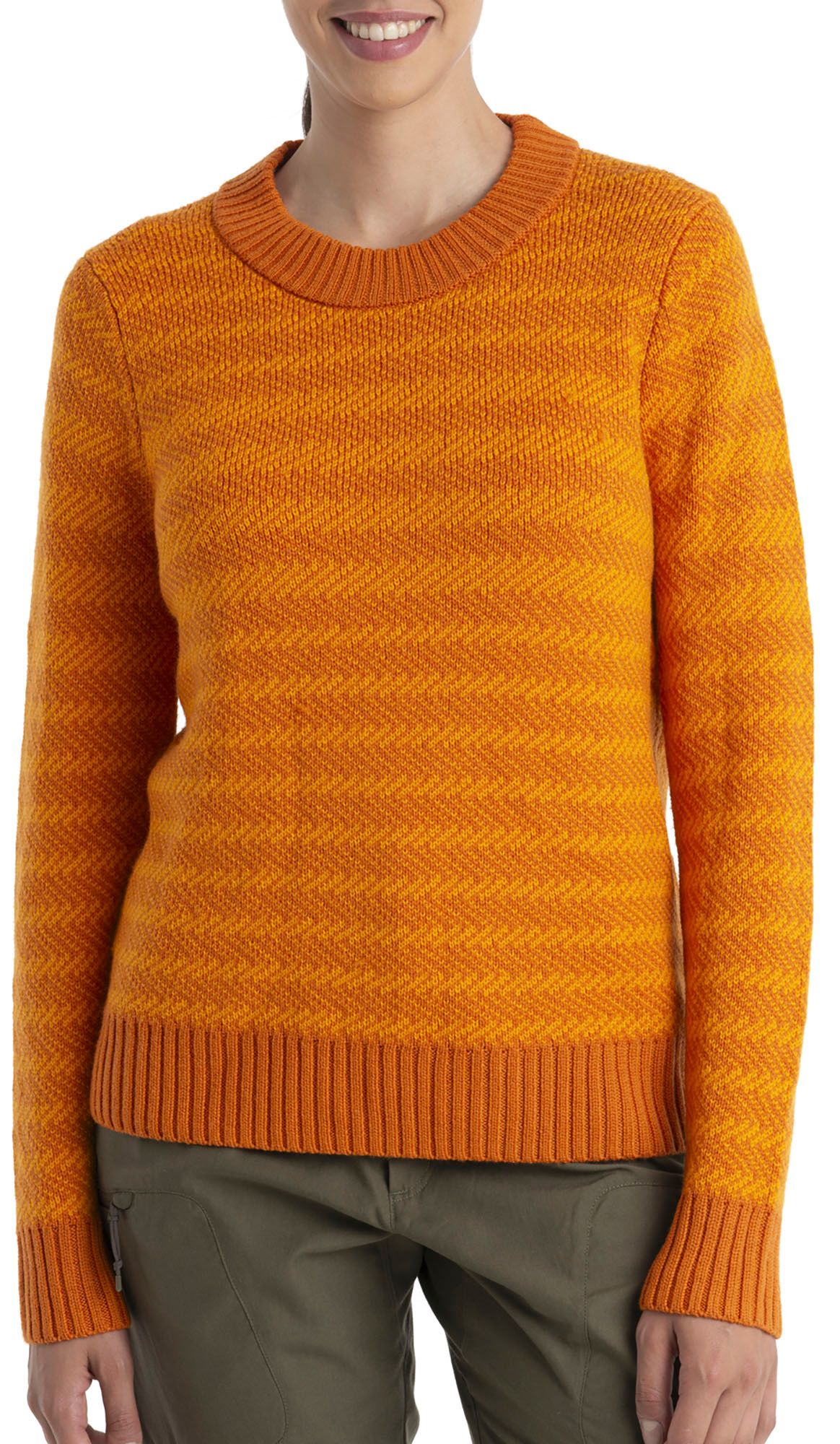 icebreaker Women's WayPoint Crew Sweater