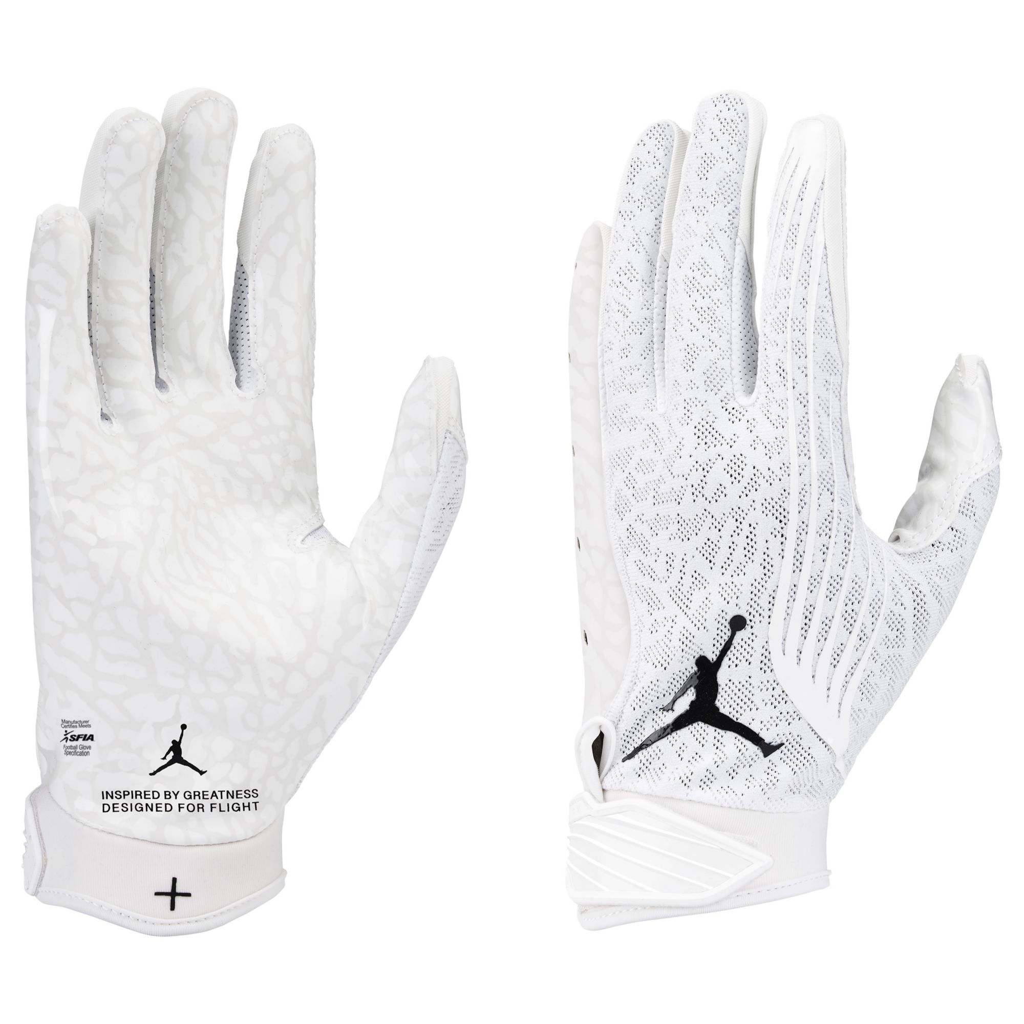 Jordan Adult Fly Lock Football Glove | Dick's Sporting Goods