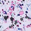 Paint Splatter 3