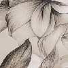 Penciled Petals