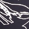 Floral Strokes Black