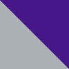 Purple/Silver