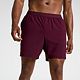 Burgundy Plum