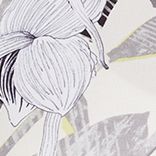 Linear Botanical Cream