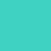 Touchdown Teal