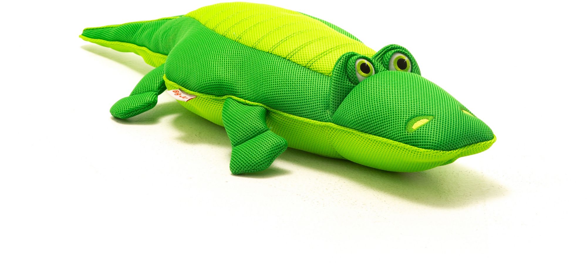 Alligator