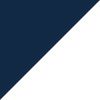 Navy/White