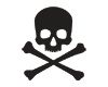 Skull And Crossbone