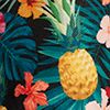 Pineapple Grove