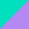 Purple/Mint