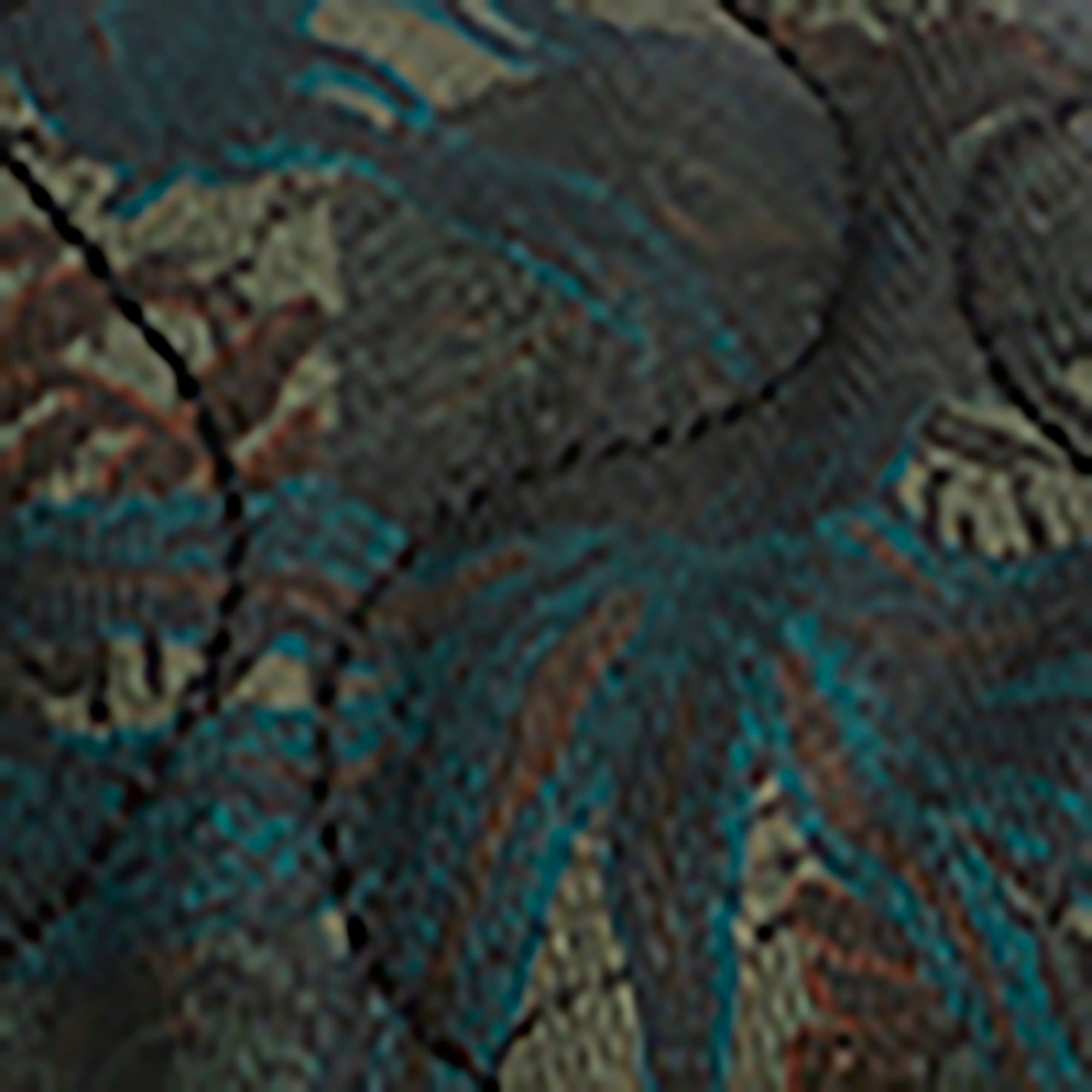 Camo