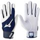 White/Navy