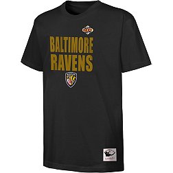 Mitchell & Ness Youth Baltimore Ravens Legendary Black T-Shirt