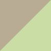 Vetiver