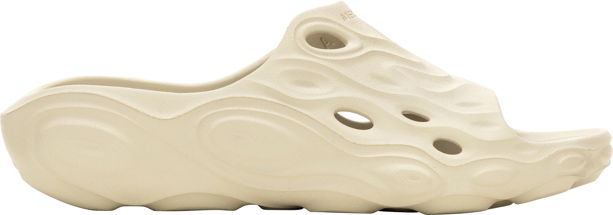Oyster