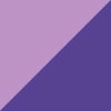 Purple/Fuchsia